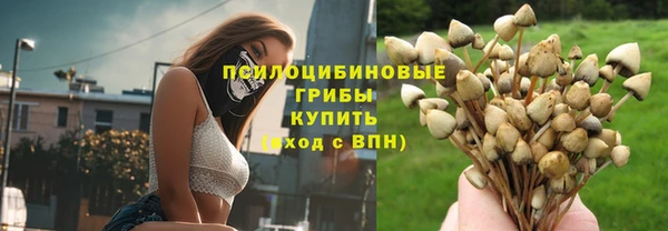 МДПВ Чекалин