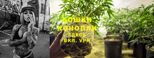 гидра Чегем