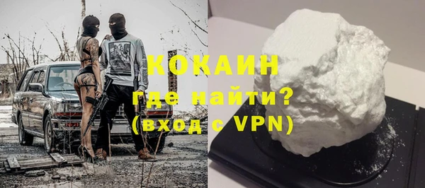 гидра Чегем