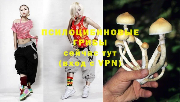 гидра Чегем