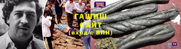 гидра Чегем