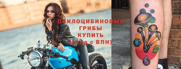 apvp Усмань